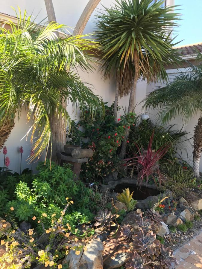 Bay Breeze Guesthouse Selfcatering Gordons Bay Exterior photo